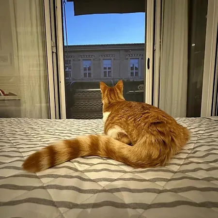 Mentamarina Bed & Breakfast