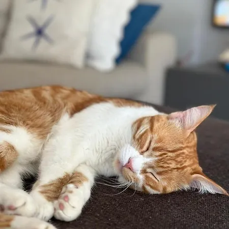 Mentamarina * Porto Recanati